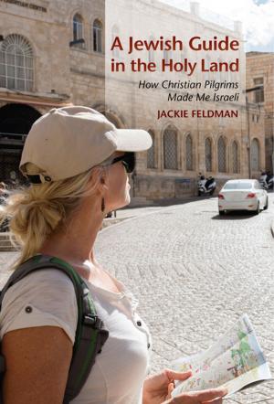 bigCover of the book A Jewish Guide in the Holy Land by 