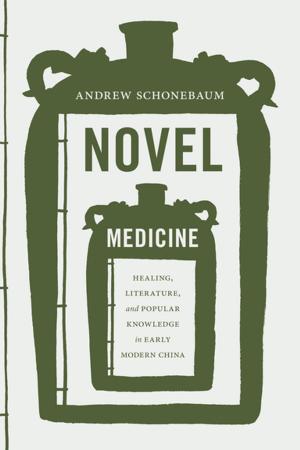 Cover of the book Novel Medicine by Melinda Bargreen