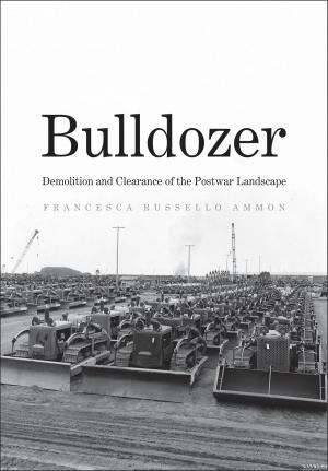 Cover of the book Bulldozer by Professor James Gustave Speth