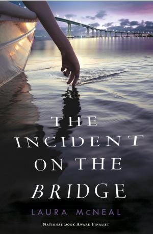 Cover of the book The Incident on the Bridge by Kristen L. Depken