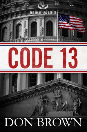 Cover of the book Code 13 by Joan Steinau Lester