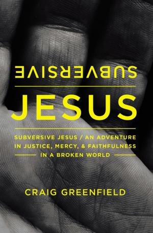 Cover of the book Subversive Jesus by Brad Brewer
