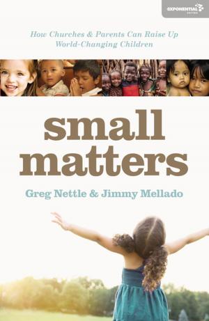 Cover of the book Small Matters by Denis Lamoureux