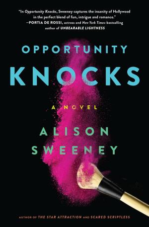 Cover of the book Opportunity Knocks by Cami Walker