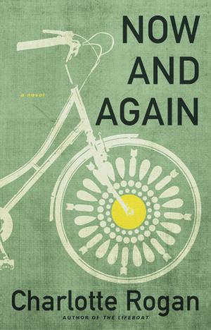 Cover of the book Now and Again by Ellis Weiner, Barbara Davilman