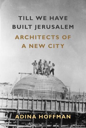 Cover of the book Till We Have Built Jerusalem by Colin MacCabe
