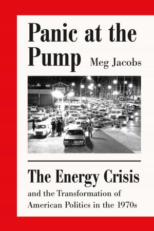 Cover of the book Panic at the Pump by Mario Vargas Llosa