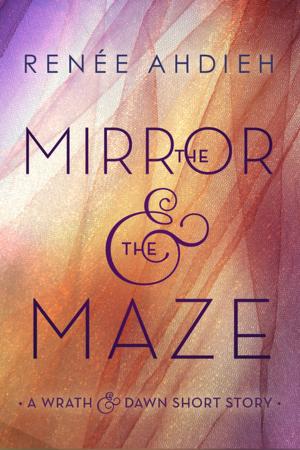 Cover of the book The Mirror & the Maze by Brad Barkley, Heather Hepler