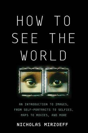Cover of the book How to See the World by David Spiegel, Catherine Classen