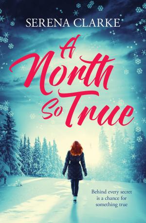 Cover of the book A North So True by Heidi Joy Tretheway