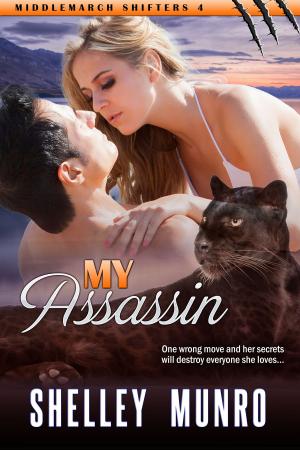 Cover of the book My Assassin by Crystal Jordan