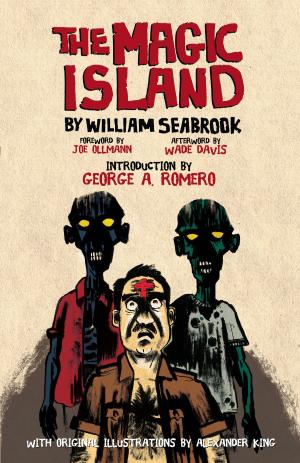 Cover of the book The Magic Island by Dr. Taqdir Husain