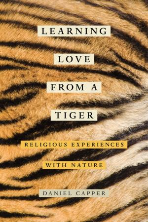 Cover of the book Learning Love from a Tiger by Michael Gaddis