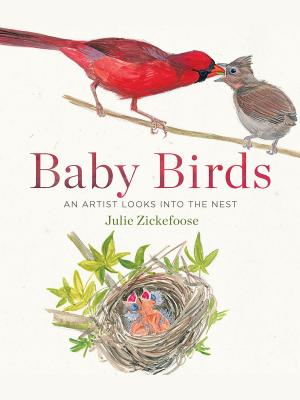 Cover of the book Baby Birds by Mary Downing Hahn