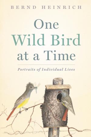 Cover of the book One Wild Bird at a Time by Richard Wilbur