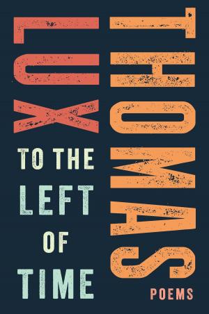 Cover of the book To the Left of Time by Michael Callahan