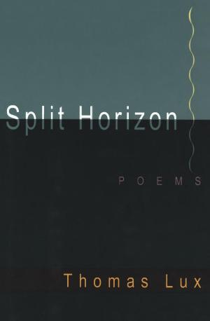 Book cover of Split Horizon