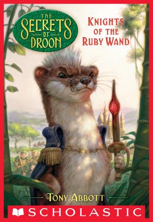 Cover of the book Knights of the Ruby Wand (The Secrets of Droon #36) by Lisa Schroeder