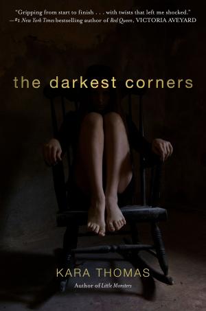 Cover of the book The Darkest Corners by Lois Miner Huey