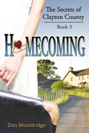 Cover of the book Homecoming: Vol. 3 by Kristy Woods