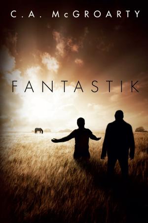 Book cover of Fantastik