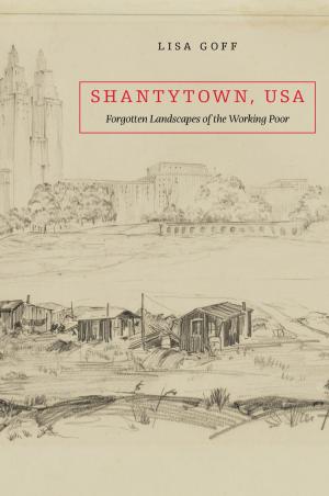Cover of the book Shantytown, USA by David J. Silverman