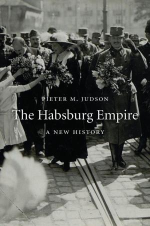 Cover of the book The Habsburg Empire by Teresa M. Bejan