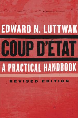 Cover of the book Coup d'État by Joel Cabrita