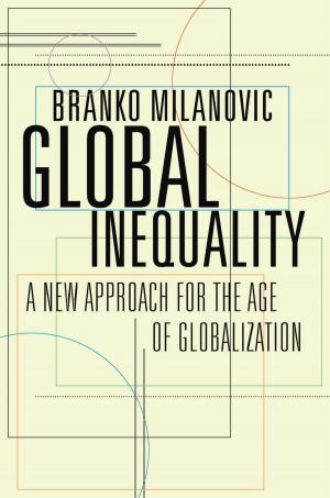 Cover of the book Global Inequality by Theda Skocpol, Larry M Bartels, Mickey Edwards, Suzanne Mettler