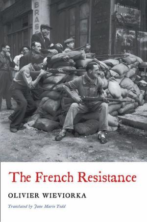 Cover of the book The French Resistance by Jeffrey L. Amestoy