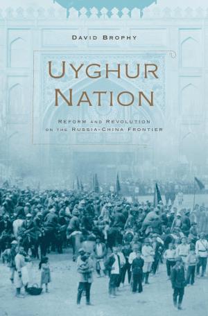 Cover of the book Uyghur Nation by Kathy Krejados