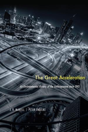 Cover of the book The Great Acceleration by James Clifford
