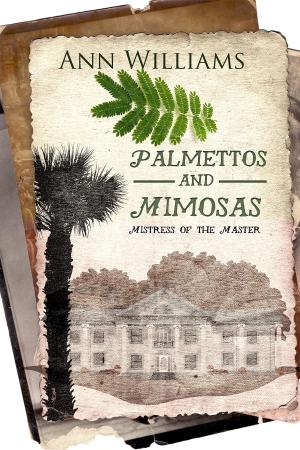 Book cover of Palmettos & Mimosas