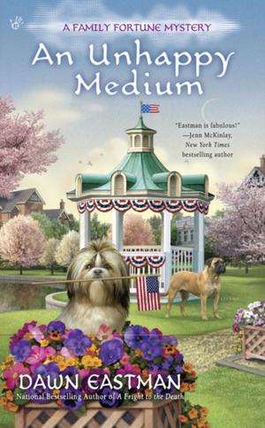 Cover of the book An Unhappy Medium by Cathy Ace