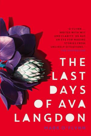 Book cover of Last Days of Ava Langdon