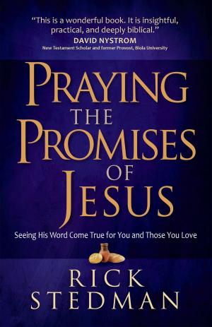 Cover of the book Praying the Promises of Jesus by Kathi Lipp, Roger Lipp