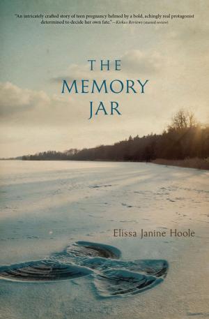 Cover of the book The Memory Jar by Carrie Jones