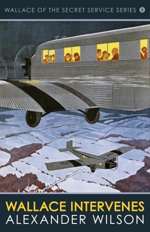 Cover of the book Wallace Intervenes by Jack Ludlow