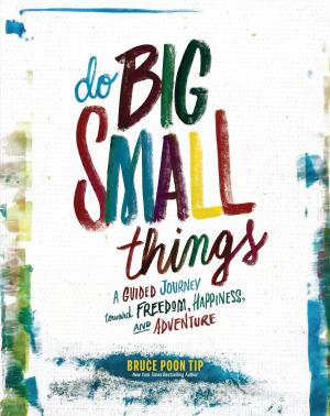 Cover of the book Do Big Small Things by Sebastien Josset, Gabrielle Peube