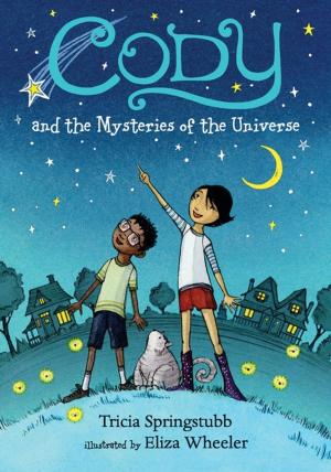 bigCover of the book Cody and the Mysteries of the Universe by 