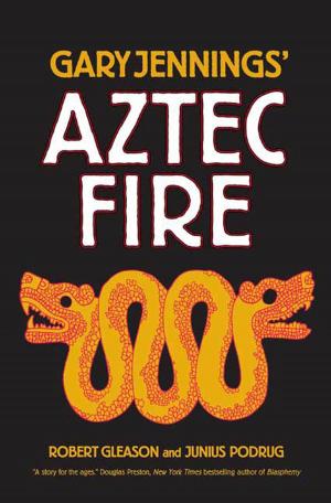Cover of the book Aztec Fire by Steven Erikson