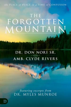 Book cover of The Forgotten Mountain