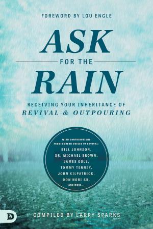 Book cover of Ask for the Rain