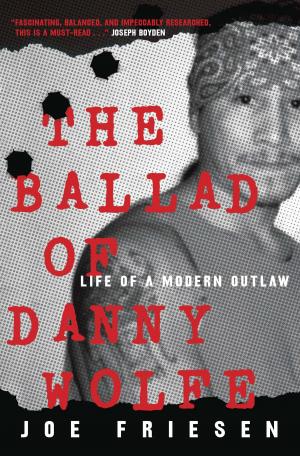 bigCover of the book The Ballad of Danny Wolfe by 