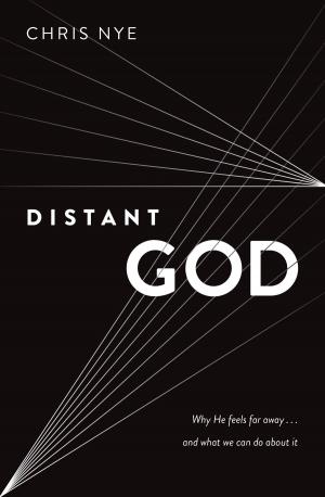 Cover of the book Distant God by Melanie Hoover