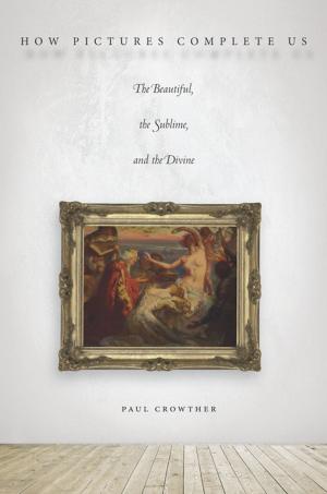 Cover of the book How Pictures Complete Us by 