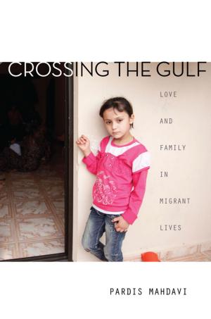 Cover of the book Crossing the Gulf by Adam Kotsko