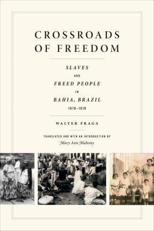 Cover of the book Crossroads of Freedom by Daniel J. Walkowitz, Finn Enke