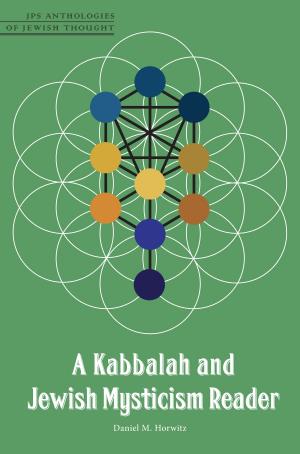 Cover of the book A Kabbalah and Jewish Mysticism Reader by Rabbi Shai Held