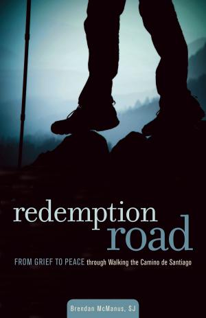Cover of the book Redemption Road by Vinita Hampton Wright, Ms. Margaret Silf, Ginny Kubitz Moyer, Jessica Mesman Griffith